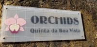 Orchideengarten Quinta da Boa Vista 