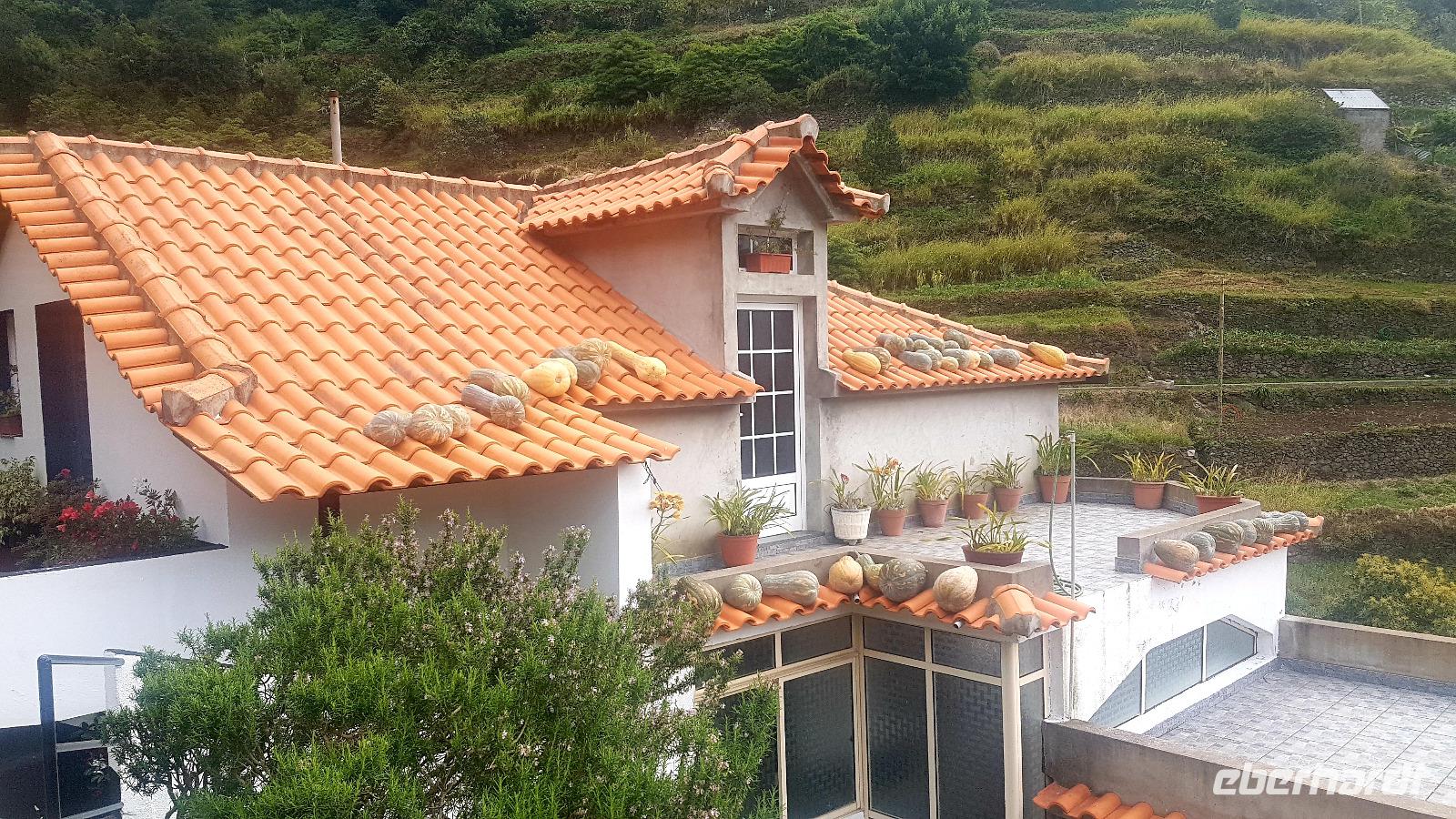 Aufbewahrung der Kürbisse