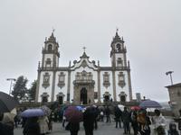 Palmsonntag Proyession