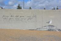 Weisheiten am Strand