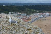 Nazare von Oben (8)