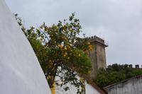 Obidos (13)