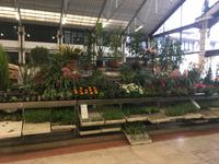 Lissabon Markhalle (2)