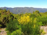 Madeira - Blick auf die Berge