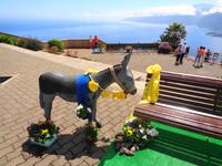 Madeira - Blick auf die Nordküste 