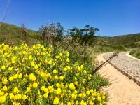 Tag 2 - kunstvoll gepflasterter Weg