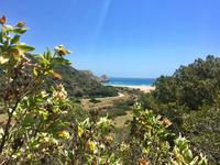 Tag 2 - Blick zum Praia do Barranco