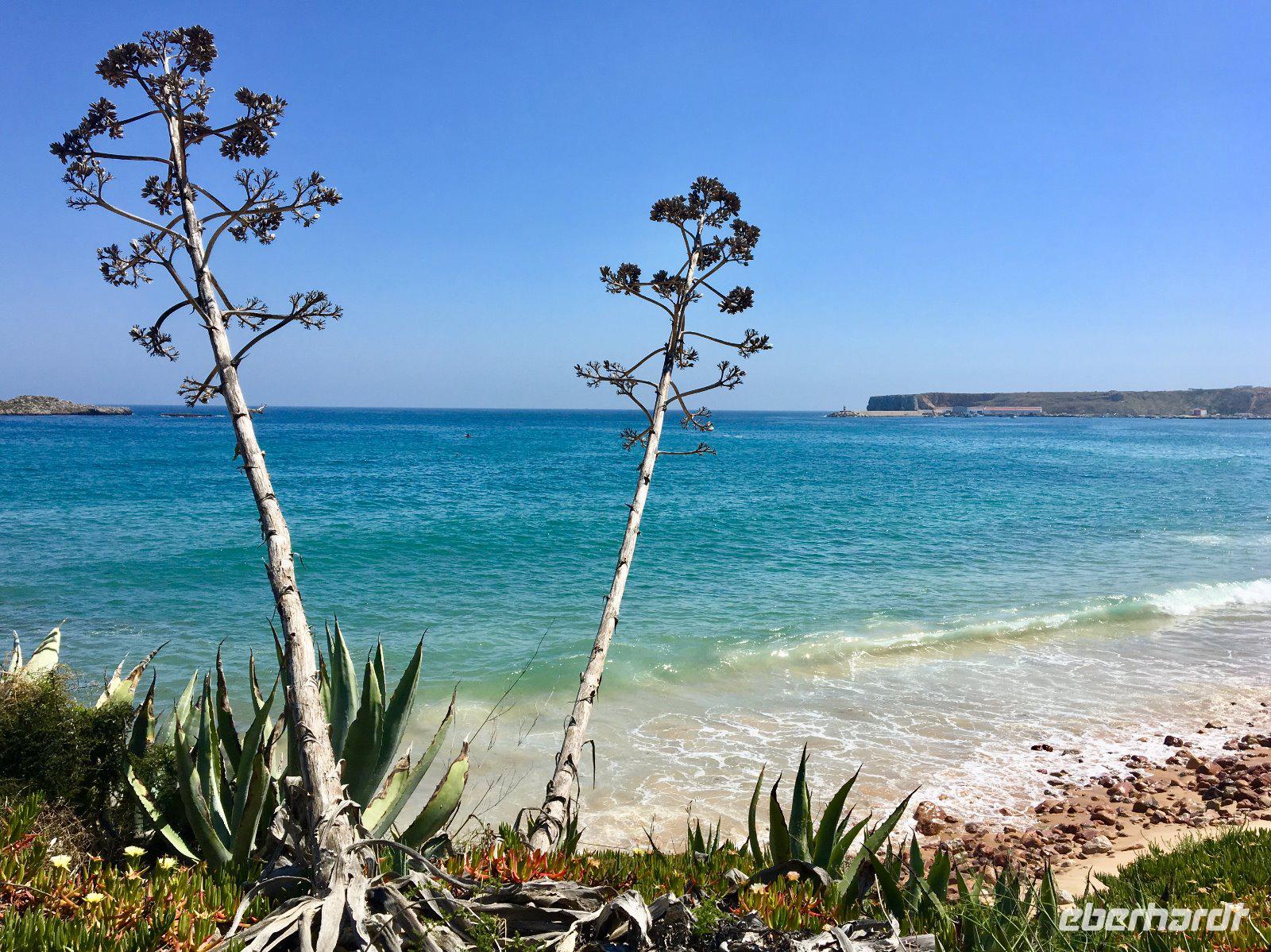 Tag 2 - Praia do Martinhal