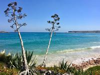 Tag 2 - Praia do Martinhal