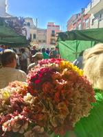 Tag 3 - Bauernmarkt in Loulé