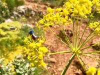 Tag 3 - Flora und Fauna