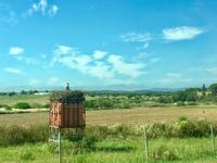 Tag 4 - Storchennest auf Gasflaschen