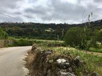 Tag 5 - Ausflug in das Monchique Gebirge