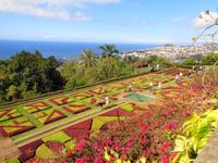 Madeira - Botanischer Garten 