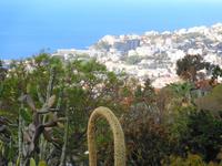 Madeira - Botanischer Garten 