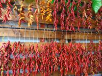 Madeira - Funchal, Markthalle 