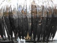 Madeira - Funchal, Markthalle 