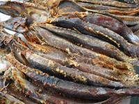 Madeira - Funchal, Markthalle 