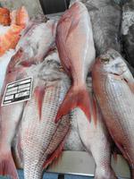 Madeira - Funchal, Markthalle 