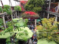 Madeira - Funchal, Markthalle 