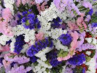 Madeira - Funchal, Markthalle 