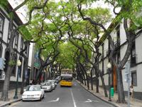 Madeira - Funchal