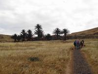 Madeira - Wanderung zur Ponta de São Lourenço