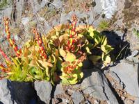 Madeira - Wanderung Pico do Arieiro - Pico Ruivo - Achada do Teixeira 
