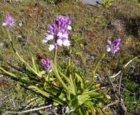 Madeira - Wanderung Pico do Arieiro - Pico Ruivo - Achada do Teixeira 