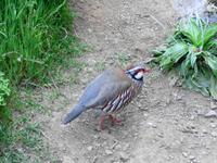 Madeira - Wanderung Pico do Arieiro - Pico Ruivo - Achada do Teixeira 