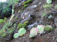 Madeira - Wanderung Pico do Arieiro - Pico Ruivo - Achada do Teixeira 