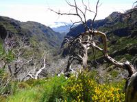 Madeira - Wanderung Pico do Arieiro - Pico Ruivo - Achada do Teixeira 