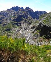 Madeira - Wanderung Pico do Arieiro - Pico Ruivo - Achada do Teixeira 