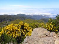 Madeira - Wanderung Pico do Arieiro - Pico Ruivo - Achada do Teixeira 