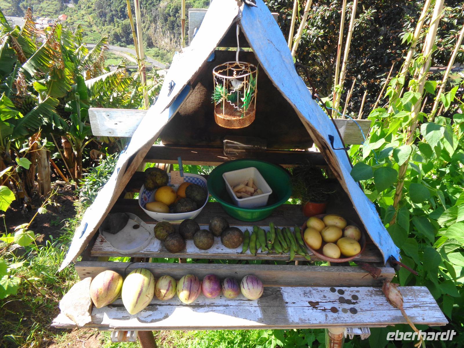 Madeira - Wanderung Levada dos Maroços