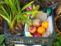 Madeira - Wanderung Levada dos Maroços