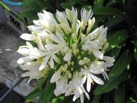 Madeira - Wanderung Levada dos Maroços