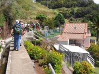 Madeira - Wanderung Levada dos Maroços