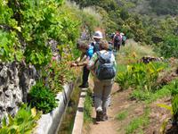 Madeira - Wanderung Levada dos Maroços