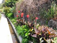 Madeira - Wanderung Levada dos Maroços