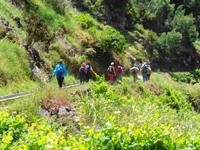 Madeira - Wanderung Levada dos Maroços
