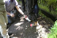 Madeira - Wanderung zu den 25 Quellen - 