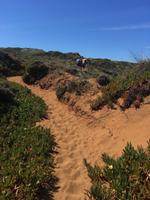 Wanderung von Hafen zu Hafen