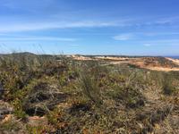 Wanderung von Hafen zu Hafen
