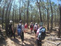 Wanderung von Hafen zu Hafen