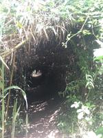 Wanderung nach Odeceixe