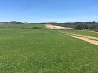 Anbau von Fußballrasen