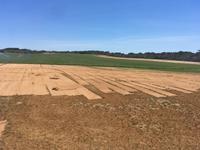 Anbau von Fußballrasen