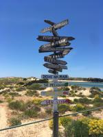Am Strand von Milfontes