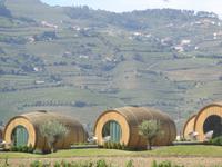 Dourotal - Quinta da Pacheca